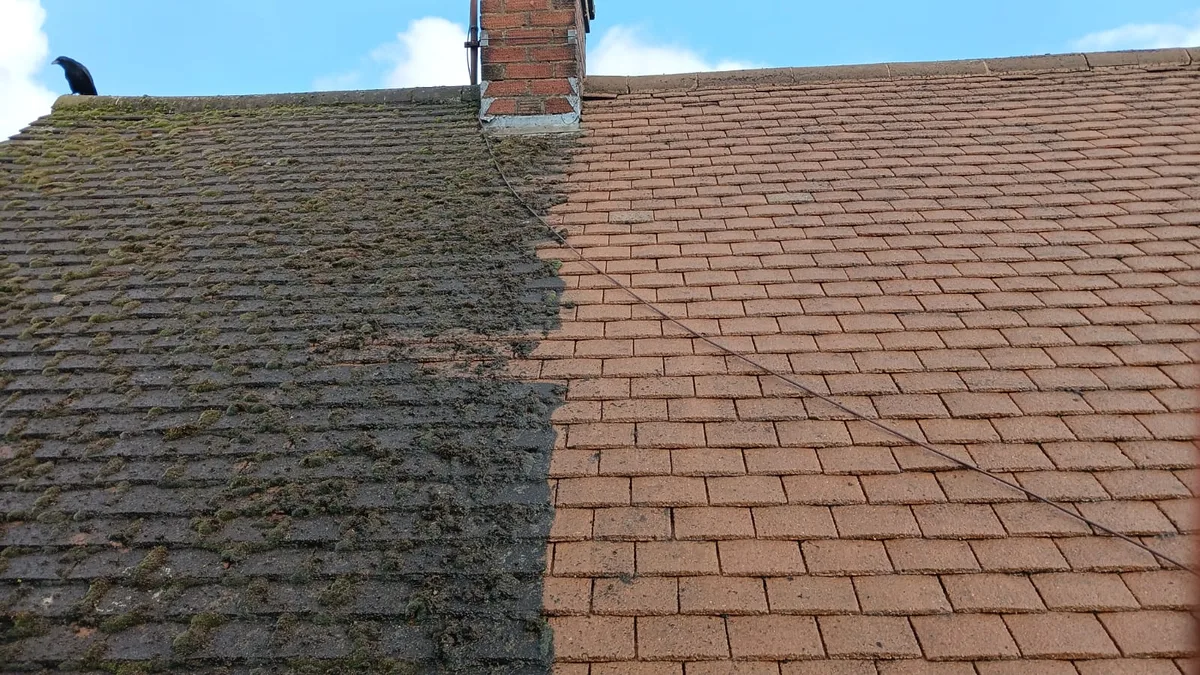 Moss Removal & Roof Cleaning